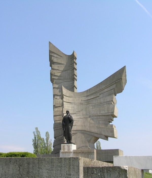 Monumentul-eroilor-de-la-Paulis-20101110133237